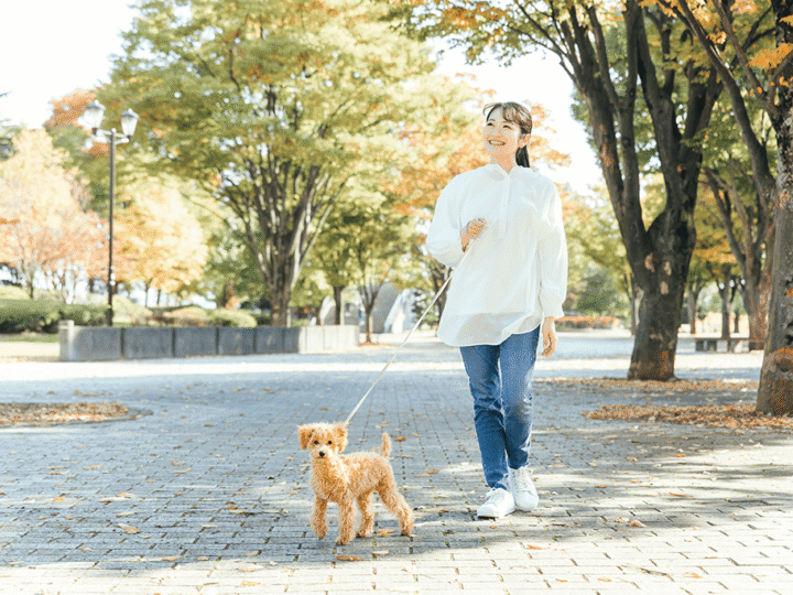 se balader au printemps avec son chien