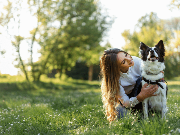 une bronchite chez le chien