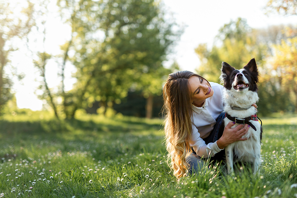 une bronchite chez le chien