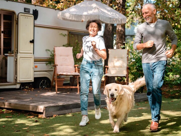 faire du camping avec son chien