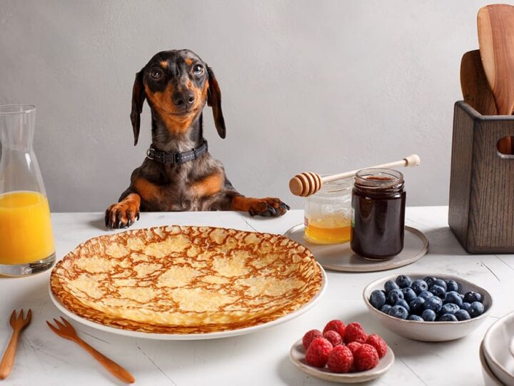 est-ce que je peux donner des crêpes à mon chien