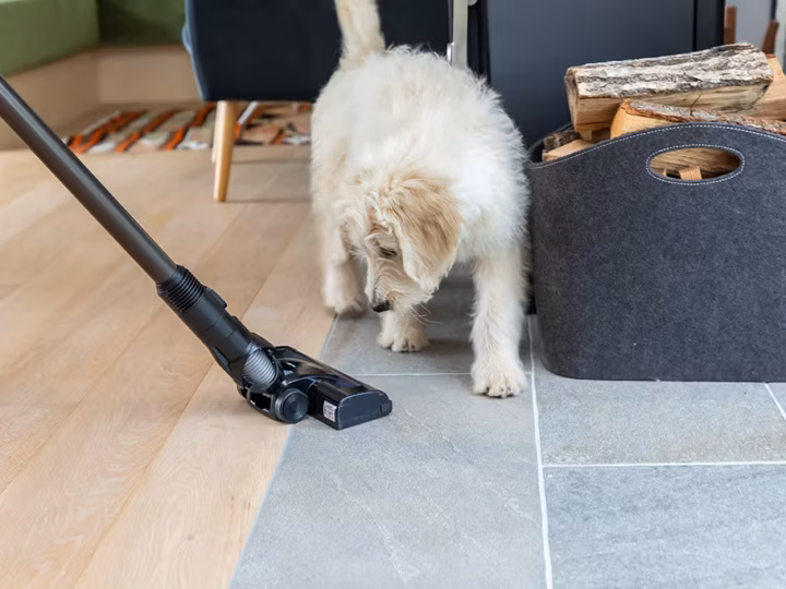 un chien qui a peut de l'aspirateur