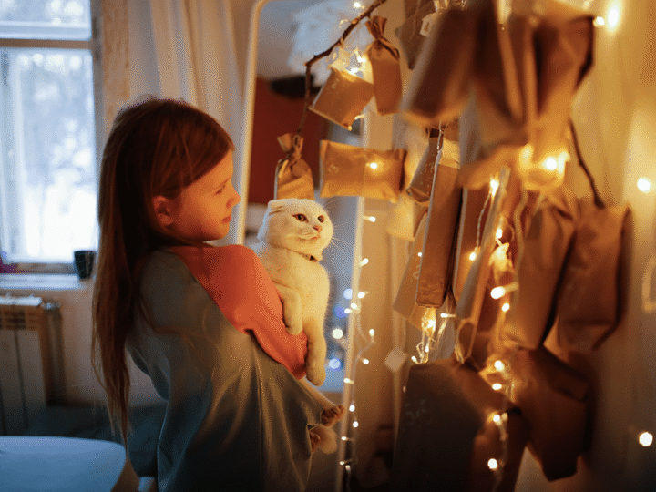 choisir un calendrier de l'avent pour son chat