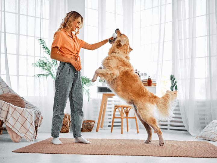 combien de temps vit un chien