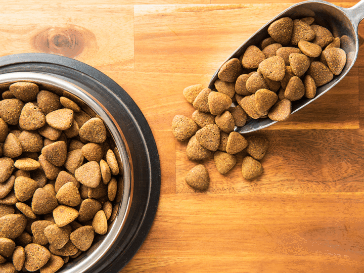 comment conserver les croquettes d'un chien ou d'un chat