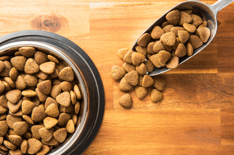 comment conserver les croquettes d'un chien ou d'un chat