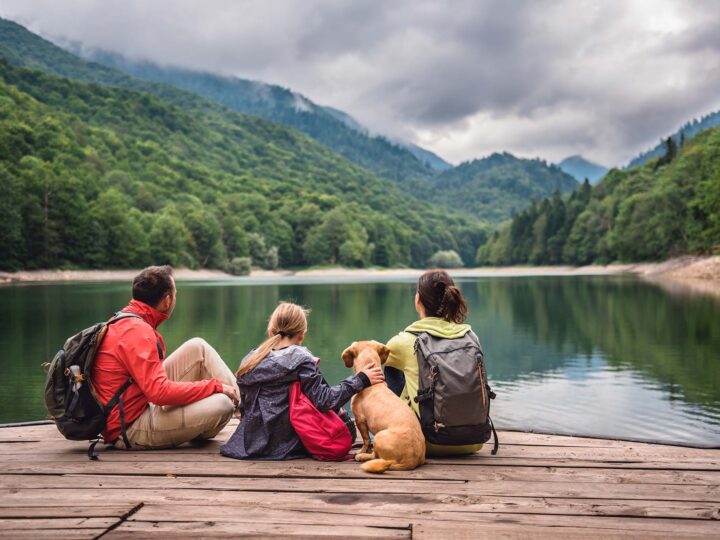 partir en vacances en France avec son chien