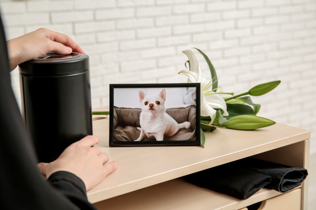 Faire le deuil de son chien : comprendre et aller mieux - Assur O'Poil