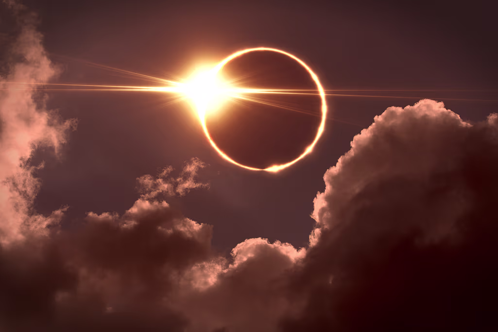 l'éclipse solaire, un risque pour les chiens et les chats