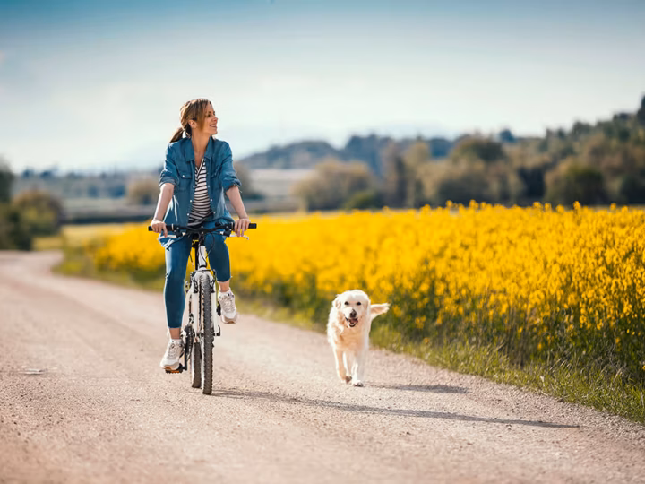 faire du vélo avec son chien
