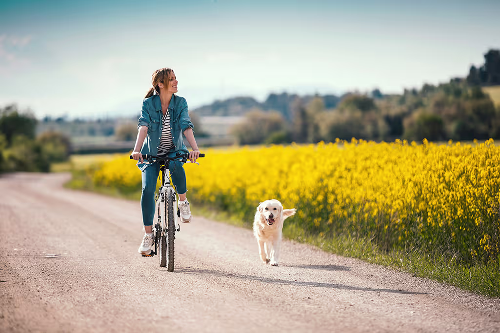 faire du vélo avec son chien