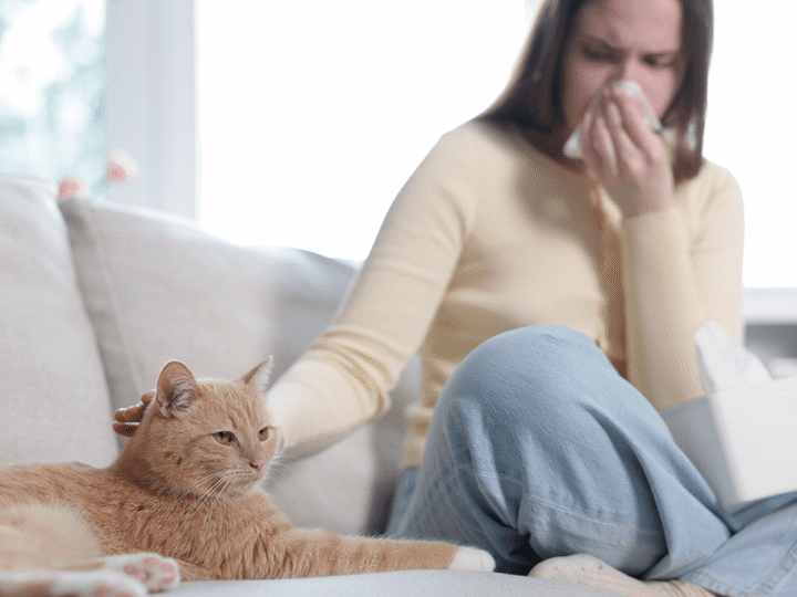 je suis allergique aux chats