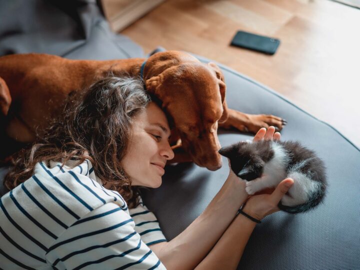 la journée mondiale des animaux