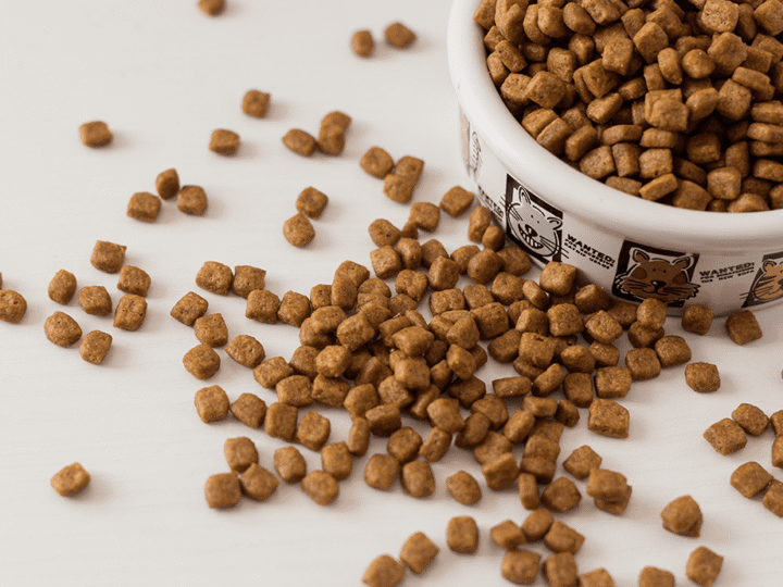 lire une étiquette de croquettes pour chien ou chat