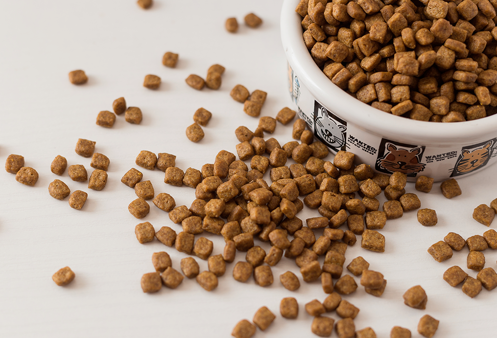 lire une étiquette de croquettes pour chien ou chat