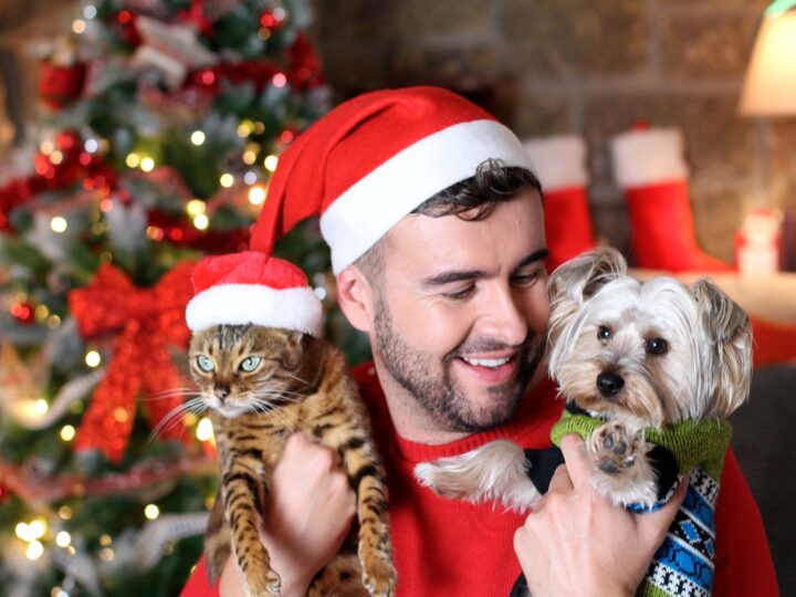 offrir animal noël