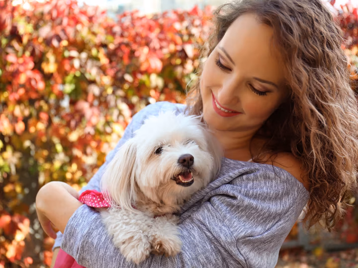 petsitter pension danger animaux