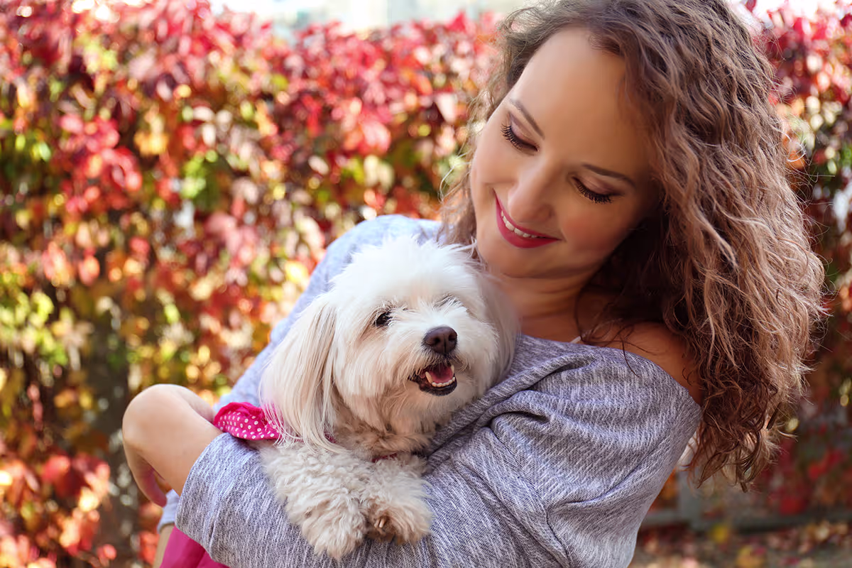 petsitter pension danger animaux