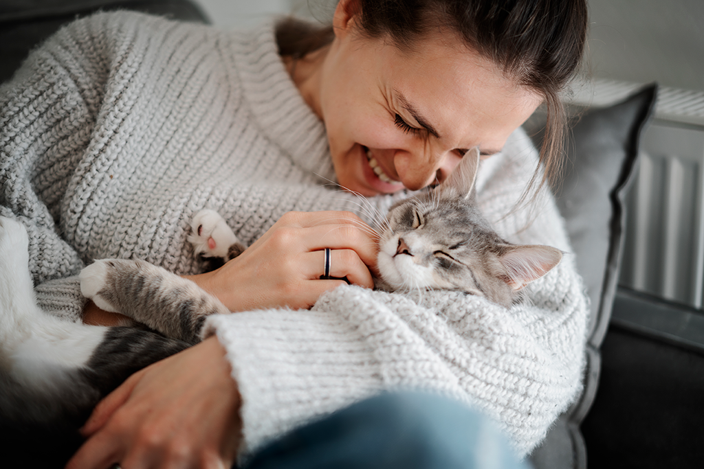 les races de chats affectueuses