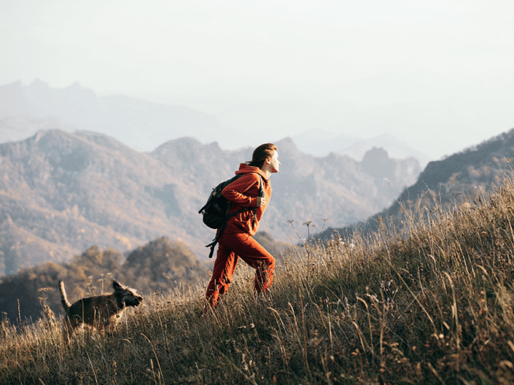 randonner avec son chien