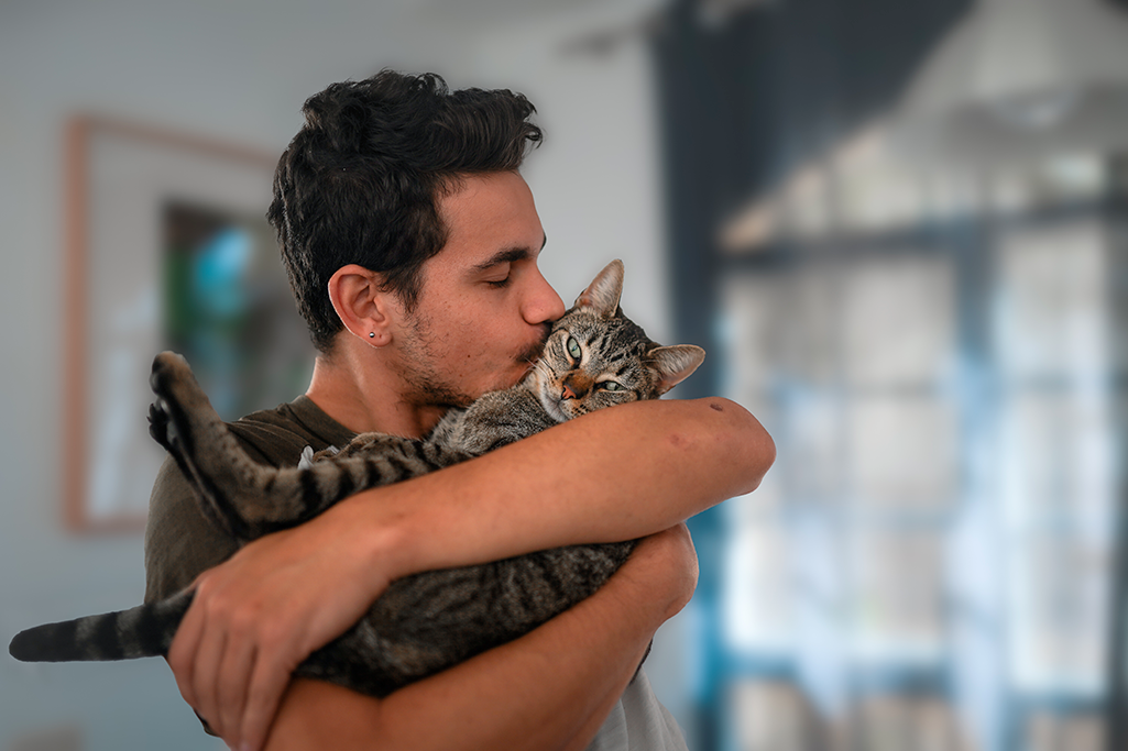 renforcer le système immunitaire du chat