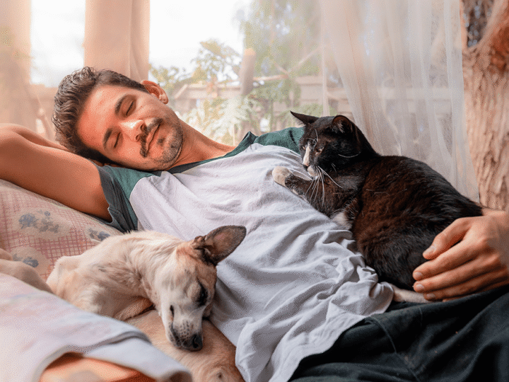 taxe sur les animaux de compagnie en 2025