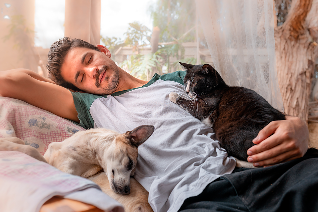 taxe sur les animaux de compagnie en 2025