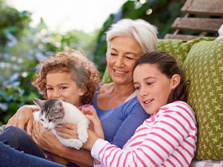 vacances avec son chat la check-list