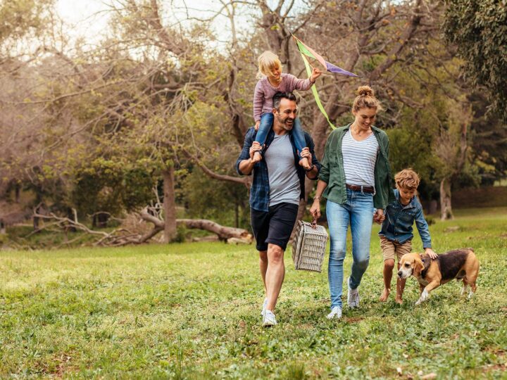La checklist des vacances avec son chien