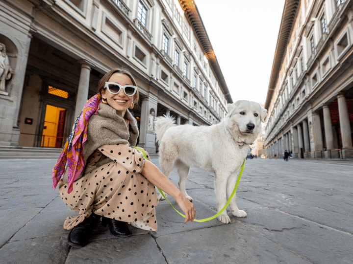 les visites culturelles avec son chien