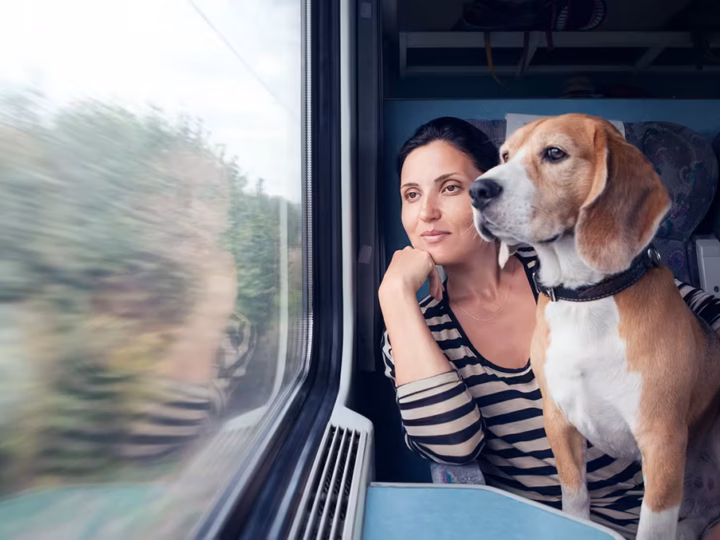 voyager en train avec son chien
